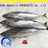 high quality wholesale frozen fish prices bonito Suppliers for family
