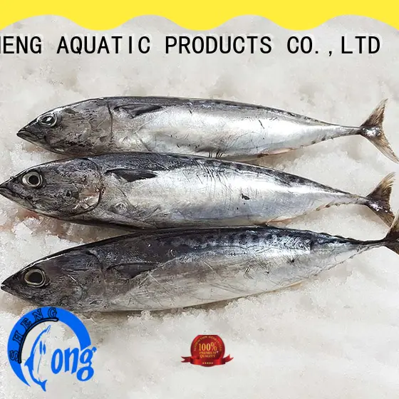 high quality wholesale frozen fish prices bonito Suppliers for family