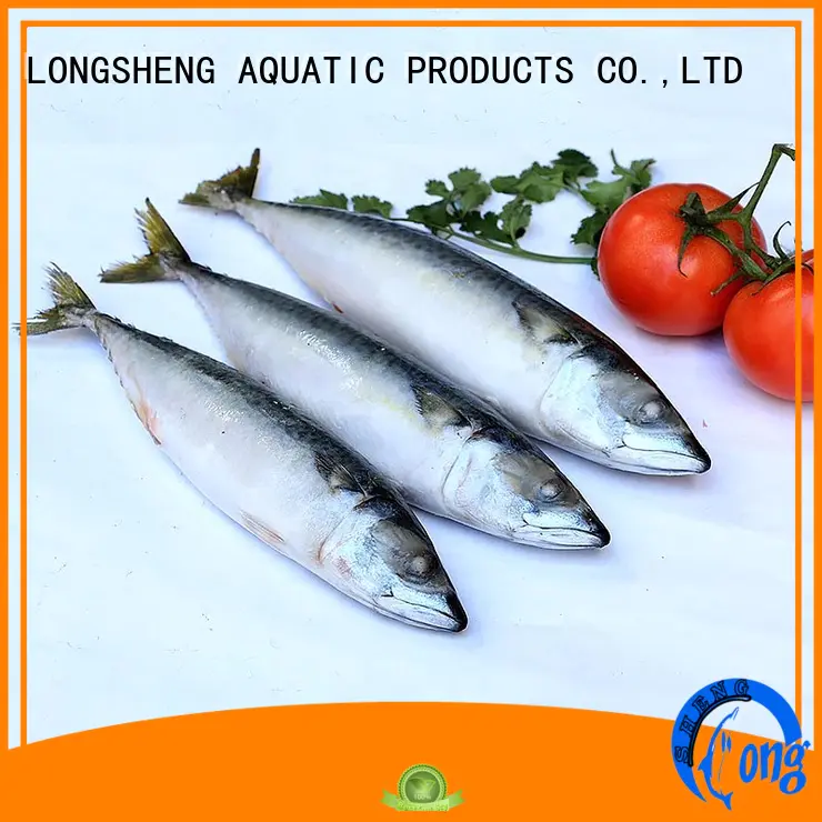 whole frozen mackerel fish LongSheng