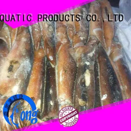 bulk buy frozen squid price argintinus for restaurant