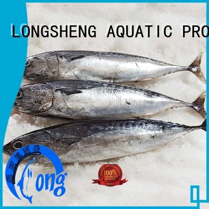 technical frozen bonito whole round on sale for family