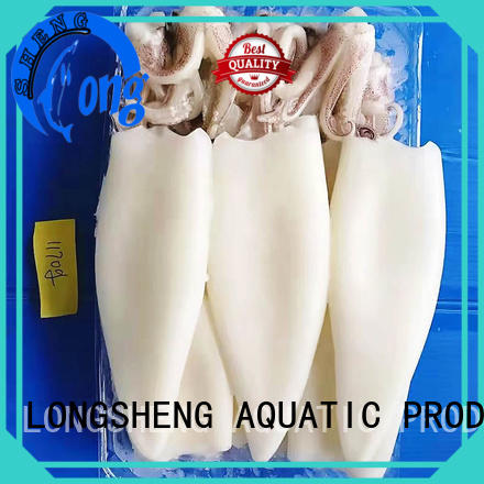 LongSheng standard frozen whole squid manufacturer for restaurant