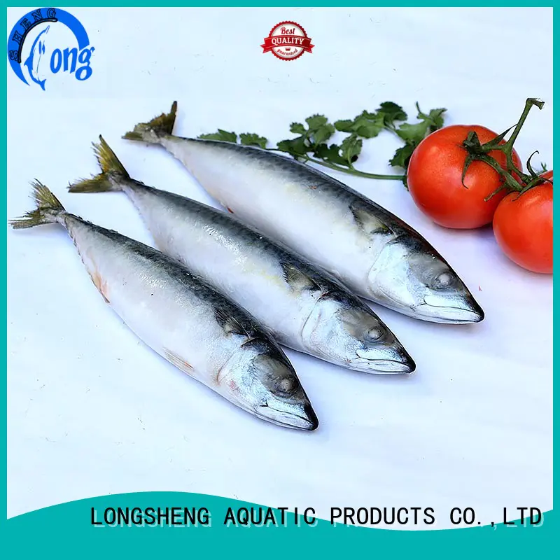 LongSheng round frozen mackerel fillets food for supermarket