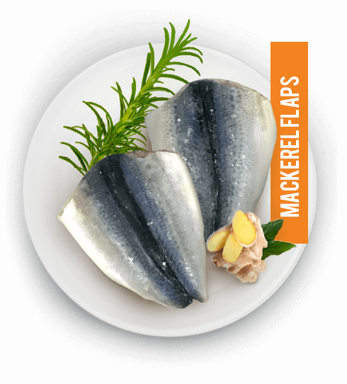 wholesale fish suppliers