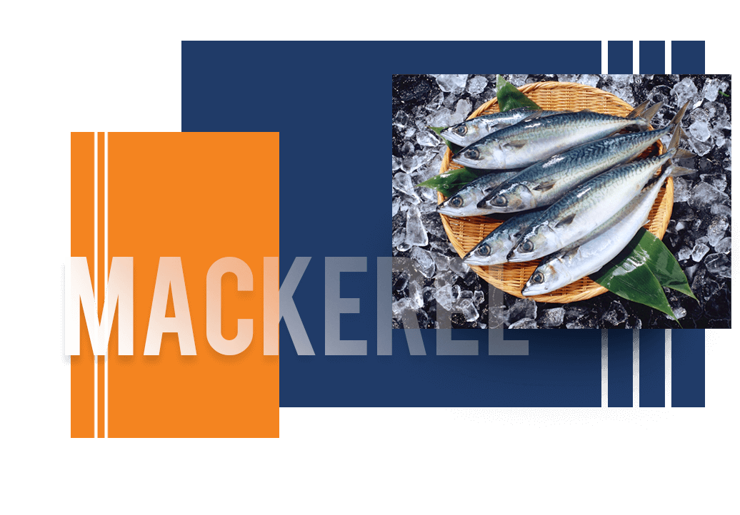 Wholesale fish sales food suppliers