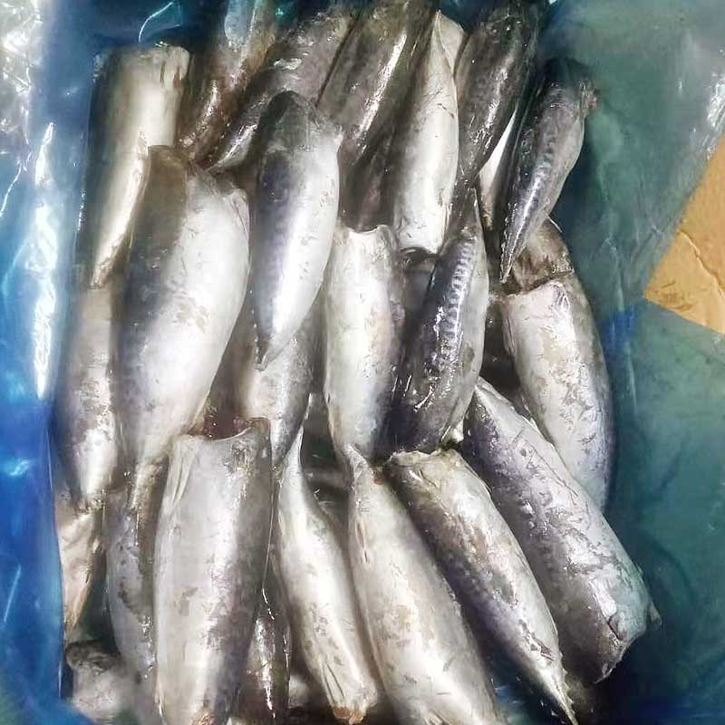 LongSheng hgt fish frozen company for market-1