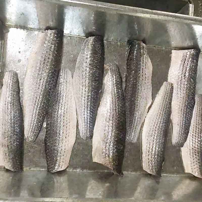 LongSheng seafood wholesale fillet for business for hotel-2