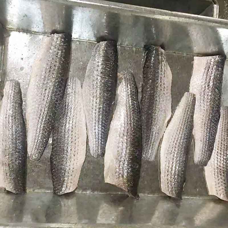 LongSheng wholesale frozen grey mullet fish Suppliers for supermarket-2