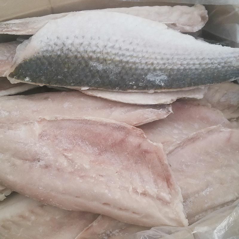 LongSheng fillet frozen grey mullet fish manufacturers for hotel-1