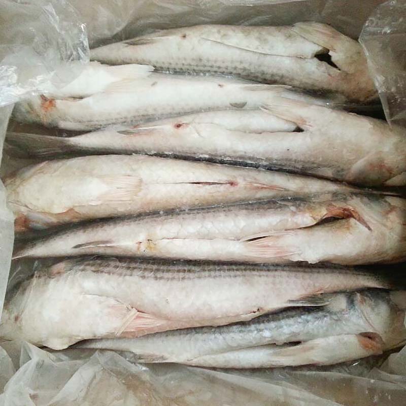 Wholesale frozen seafood supplier gutted manufacturers for hotel-2