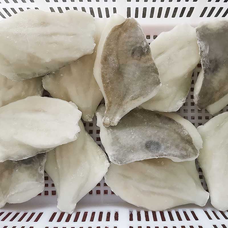 LongSheng frozen fillet frozen fish for supermarket-2