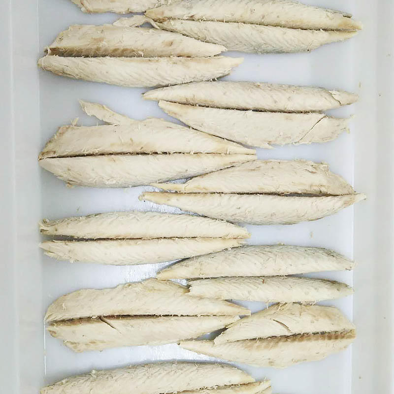 frozen Mackerel loin wholesale( scomber japonicus)