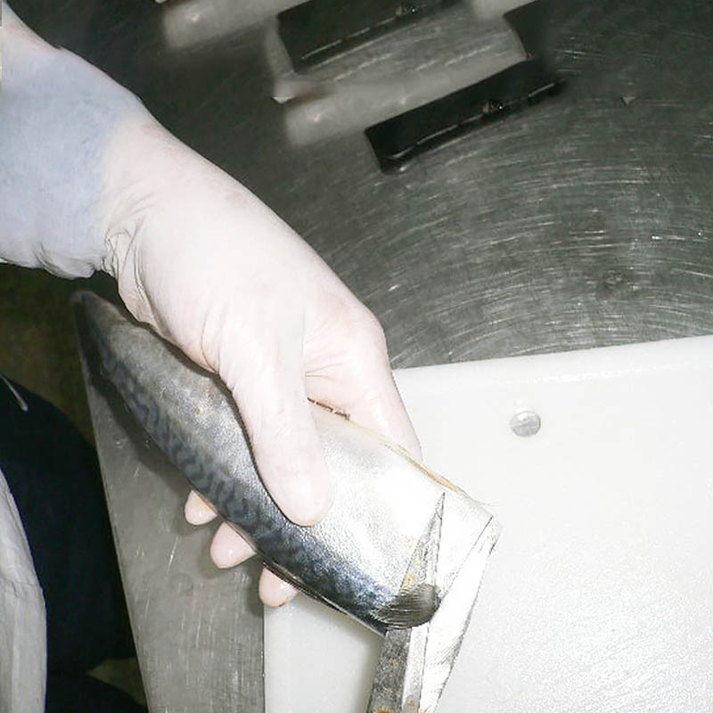 LongSheng mackerel seafood frozen food for business for market-2