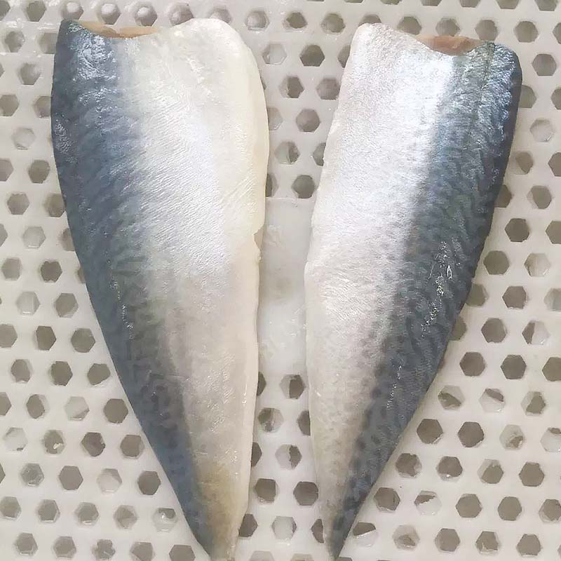 LongSheng hgt frozen pacific mackerel food for hotel-LongSheng-img