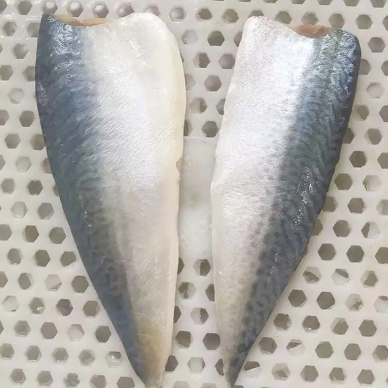 fillet frozen fish &Mackerel fillet
