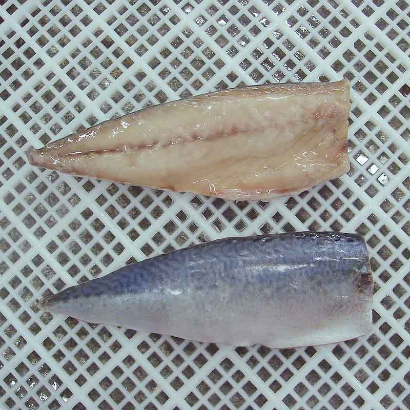 fillet frozen fish &Mackerel fillet