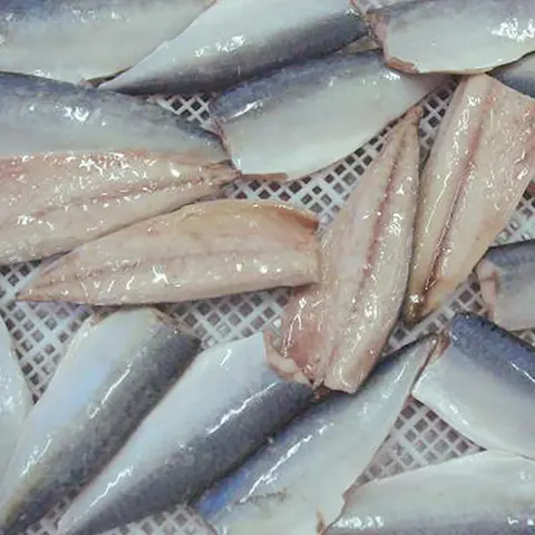 news-LongSheng-fish frozen mackerel flaps food for market LongSheng-img