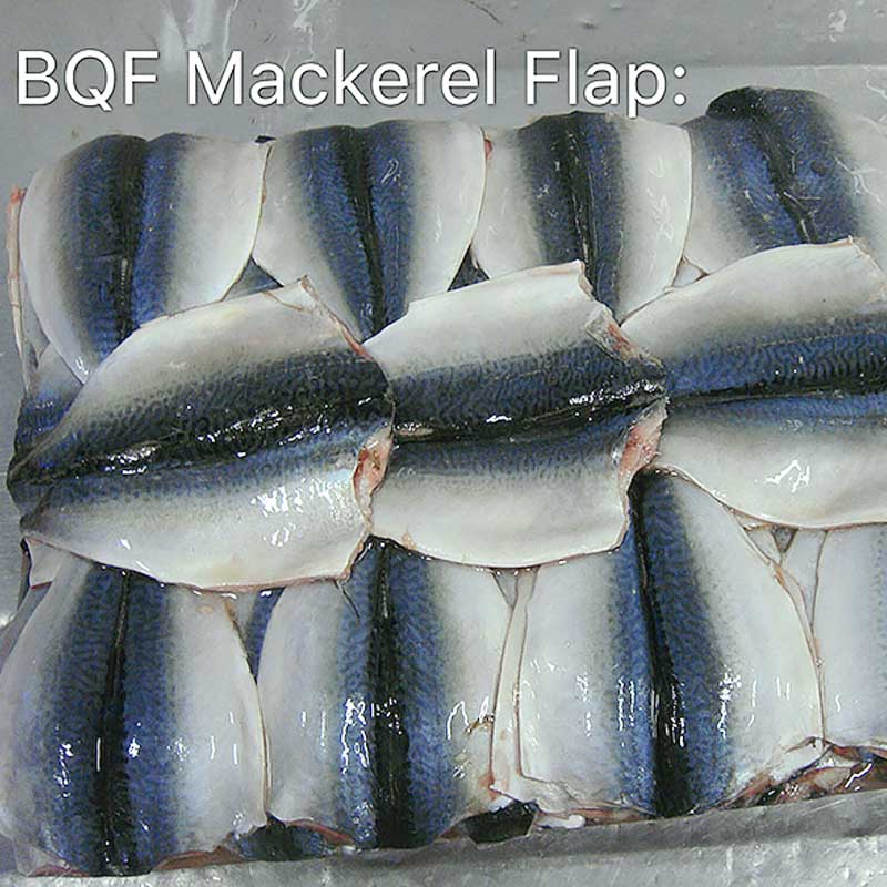 frozen mackerel fishfrozen Mackerel flaps-LongSheng-img