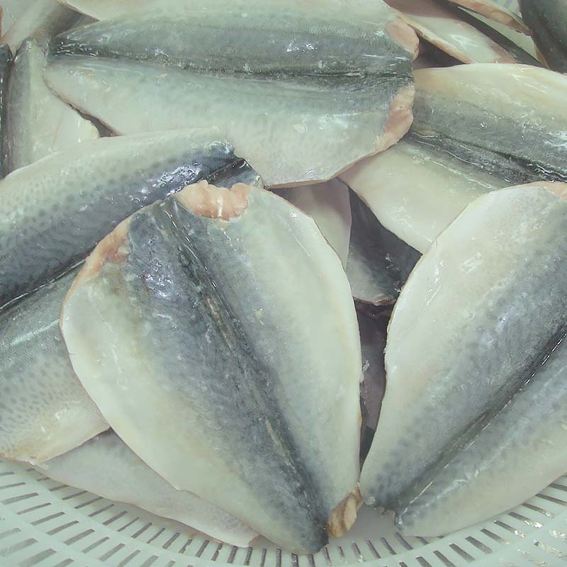 LongSheng mackerel fish frozen mackerel for business-2