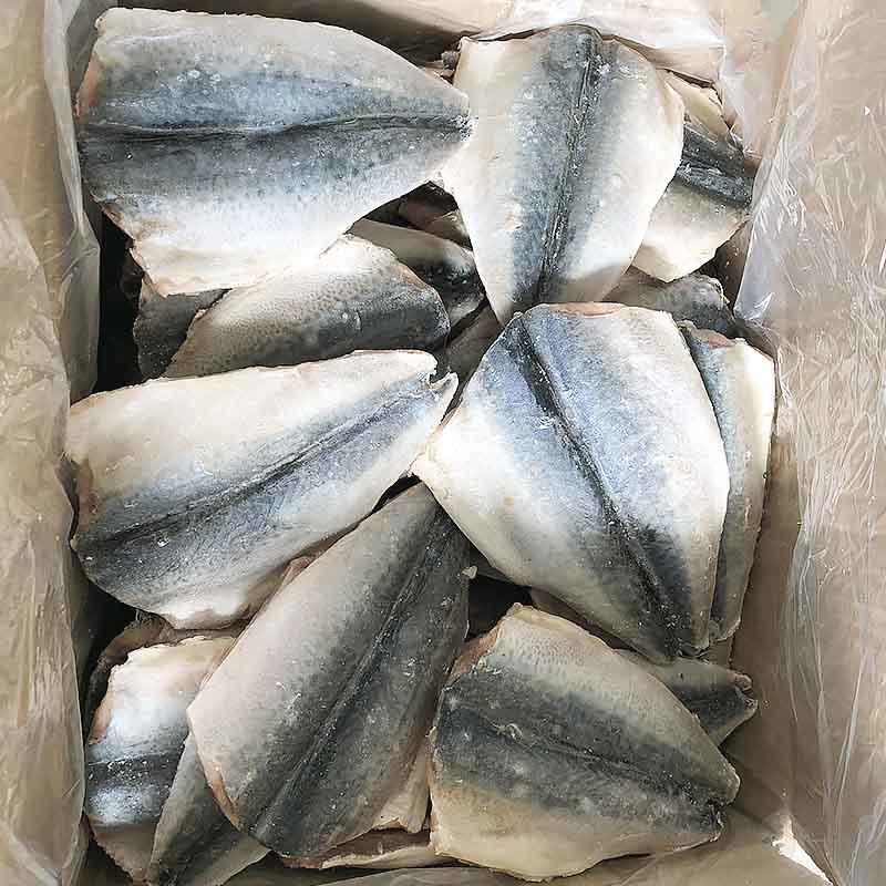 frozen mackerel fish&frozen Mackerel flaps