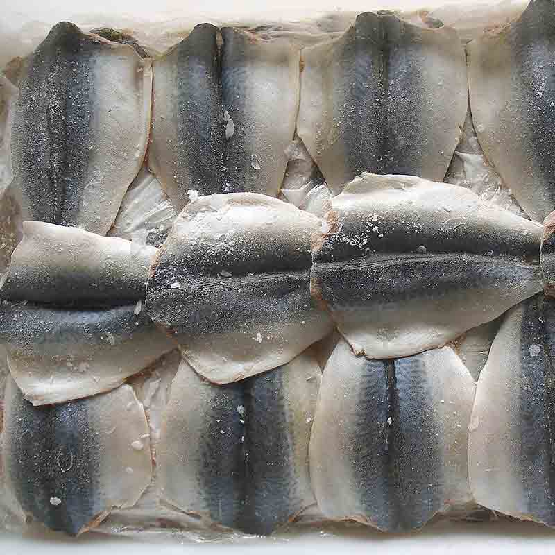 Latest frozen mackerel fillets fish Supply-1