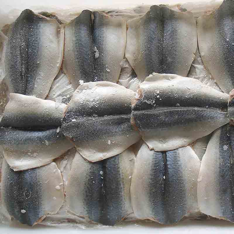 LongSheng mackerel fish frozen mackerel for business-1