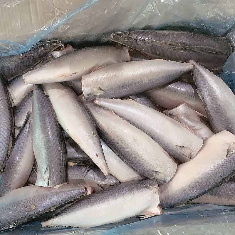 best pacific mackerel wr frozen manufacturers for supermarket-1