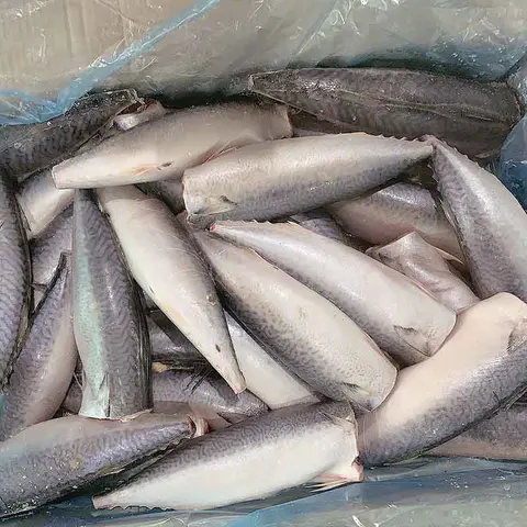 good quality frozen chub mackerel fillets for hotel LongSheng-LongSheng-img