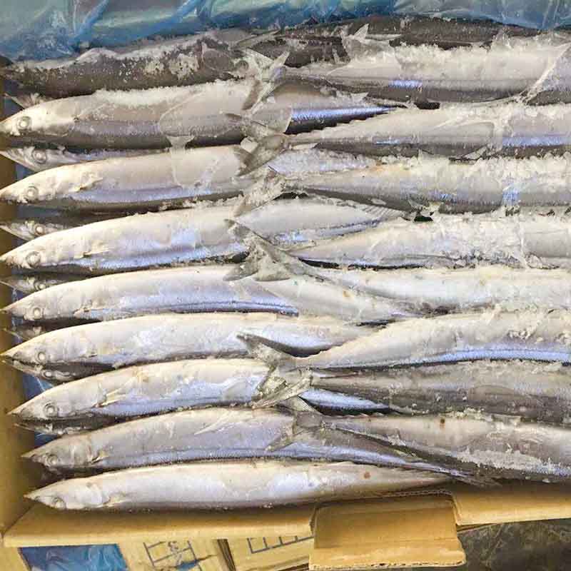 LongSheng bulk purchase frozen saury Supply for cafe-2