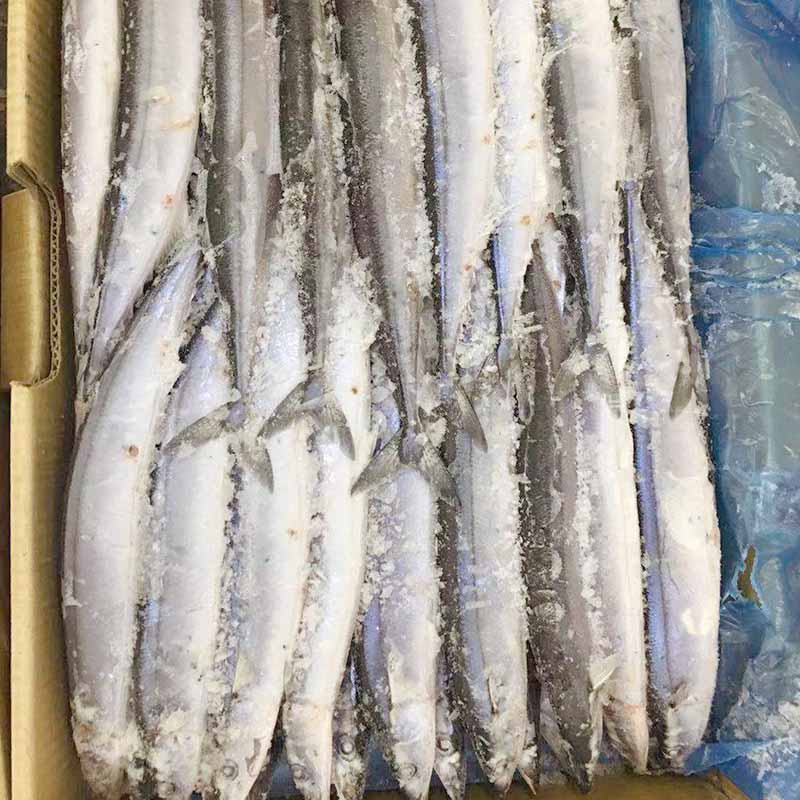 clean frozen seafood wholesale saurycololabis company for cafe-1