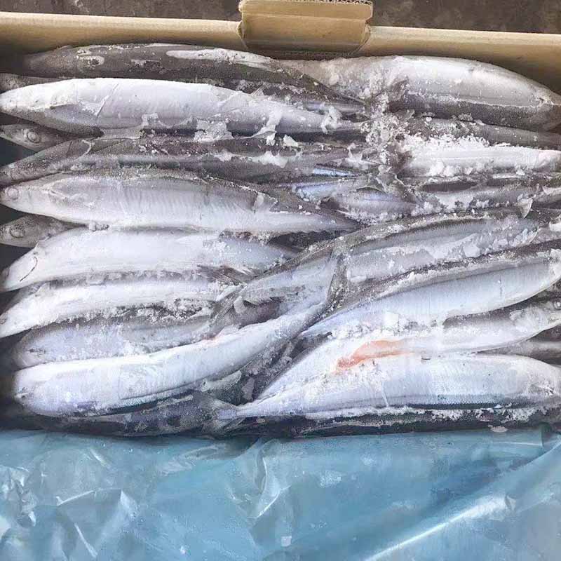 Frozen Pacific Saury(Cololabis Saira )