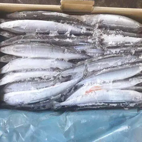 LongSheng saurycololabis frozen seafood china online for restaurant-LongSheng-img