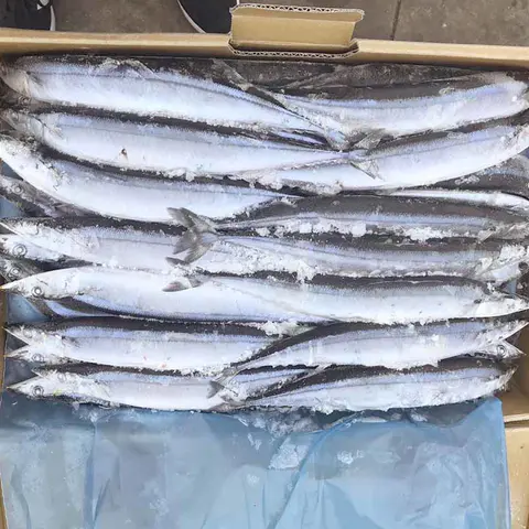 LongSheng saurycololabis frozen seafood china online for restaurant-Frozen Fish Exporters,Wholesale 