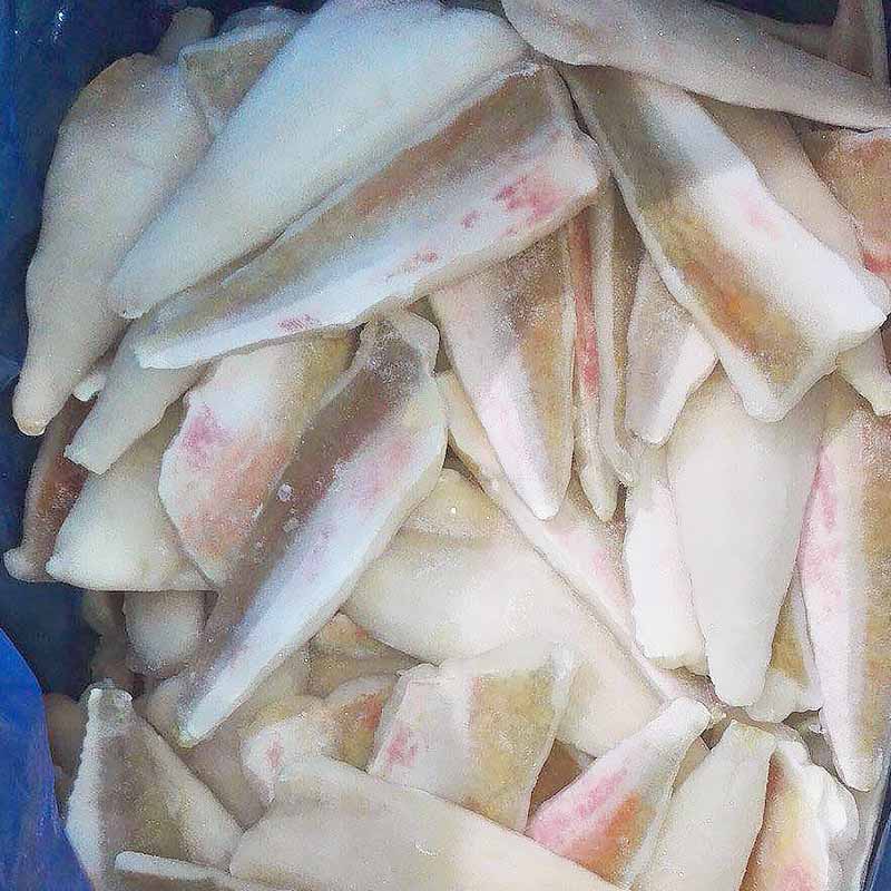 LongSheng fillet frozen fish wholesale for home party-1