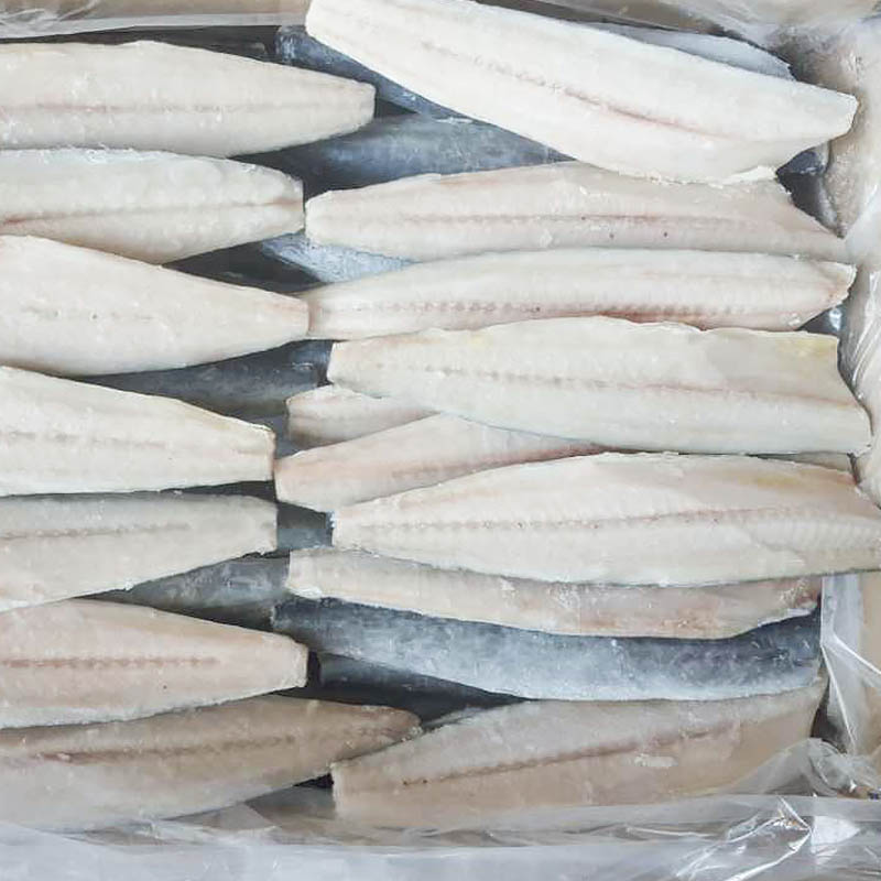 frozen Spanish mackerel fillet sale