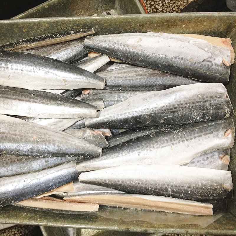 frozen Spanish mackerel fillet sale