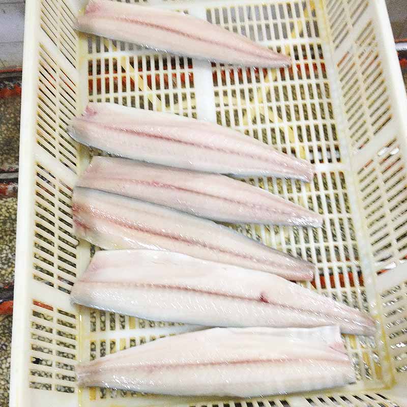 Wholesale spanish mackerel fillets for sale roundfrozen company for supermarket-1