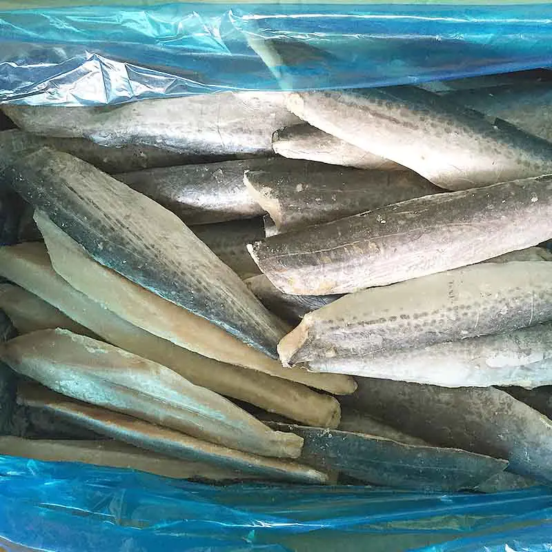 frozen Spanish mackerel fillet sale