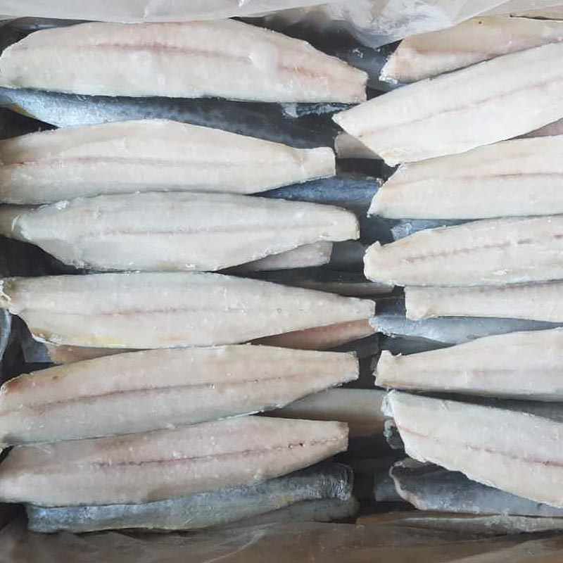 LongSheng wholesale spanish mackerel for sale for market-LongSheng-img