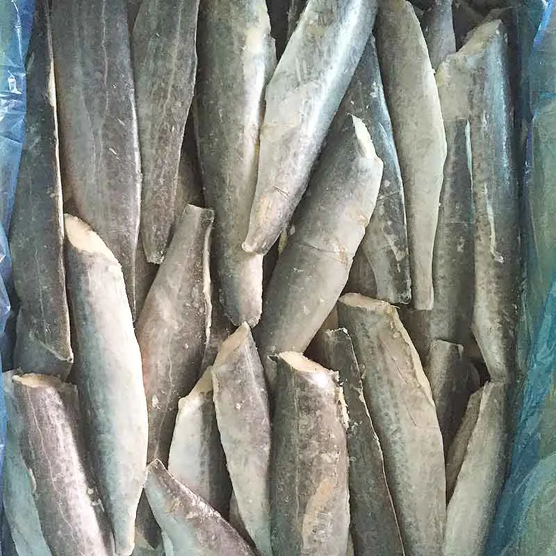 frozen Spanish mackerel fillet sale