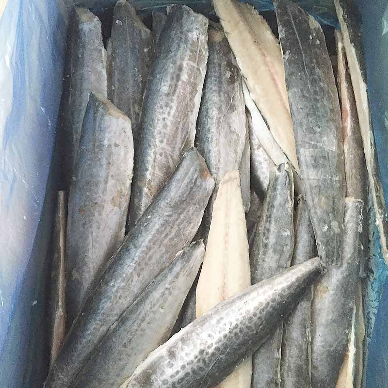 frozen Spanish mackerel fillet sale