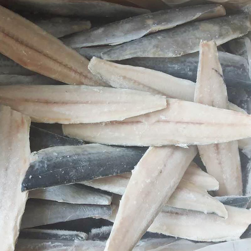 frozen Spanish mackerel fillet sale