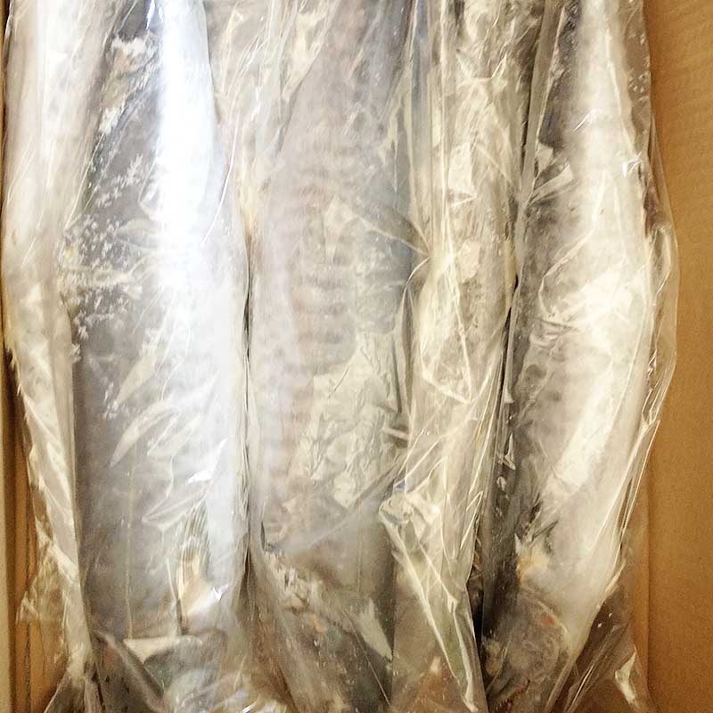 Frozen Spanish Mackerel For Sale,Fish Frozen Manufacturer