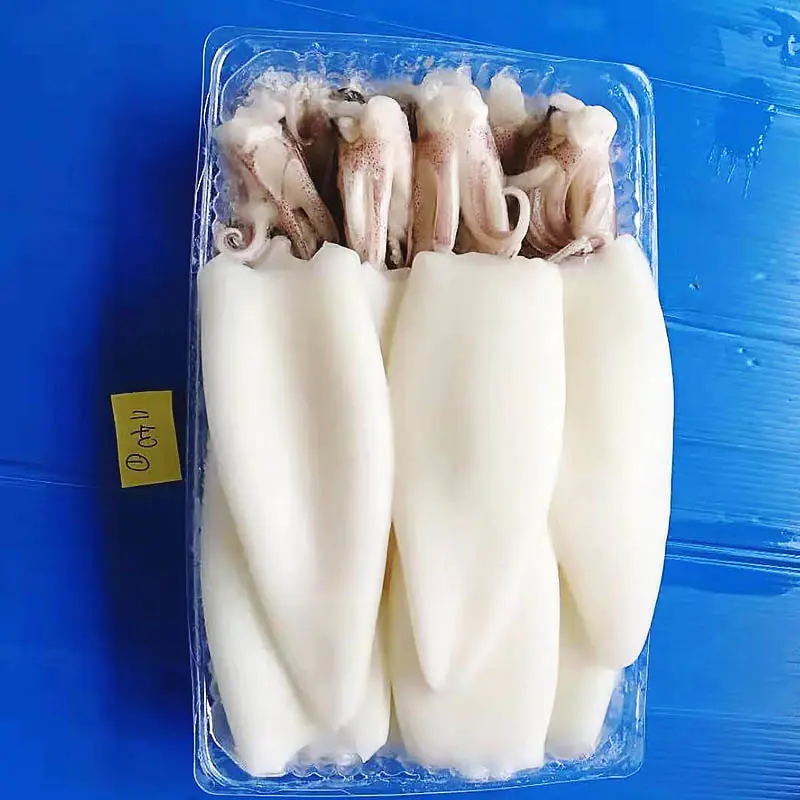 frozen squid fish &frozen Squid T+T ( Tube+Tentacle）