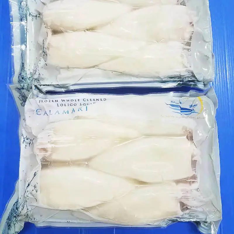 frozen squid fish &frozen Squid T+T ( Tube+Tentacle）