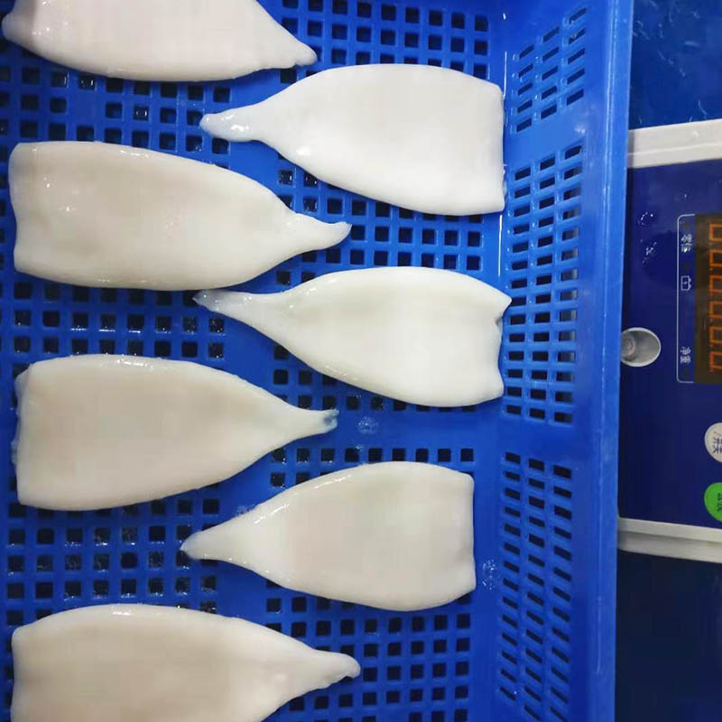 Best frozen whole uncleaned squid for sale rings Suppliers for restaurant-1