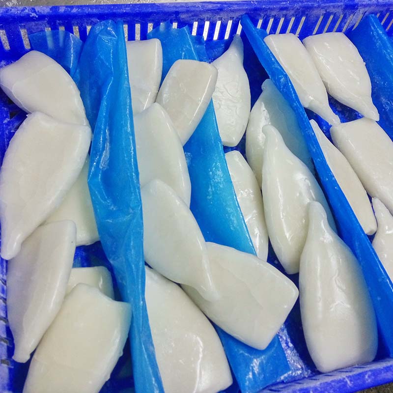healthy squid frozen round for hotel-LongSheng-img