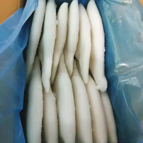 squid wholesale squid prices frozen for hotel LongSheng-Frozen Fish Exporters-Wholesale Frozen Fish 