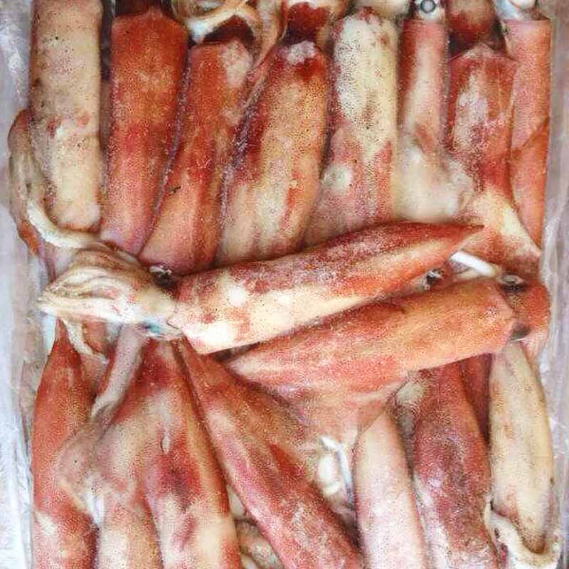 bulk purchase frozen loligo squid illex factory for restaurant-1