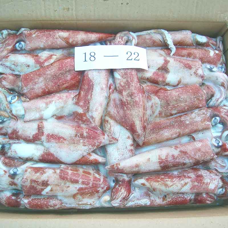High-quality frozen uncleaned squid rings Supply for restaurant-LongSheng-img
